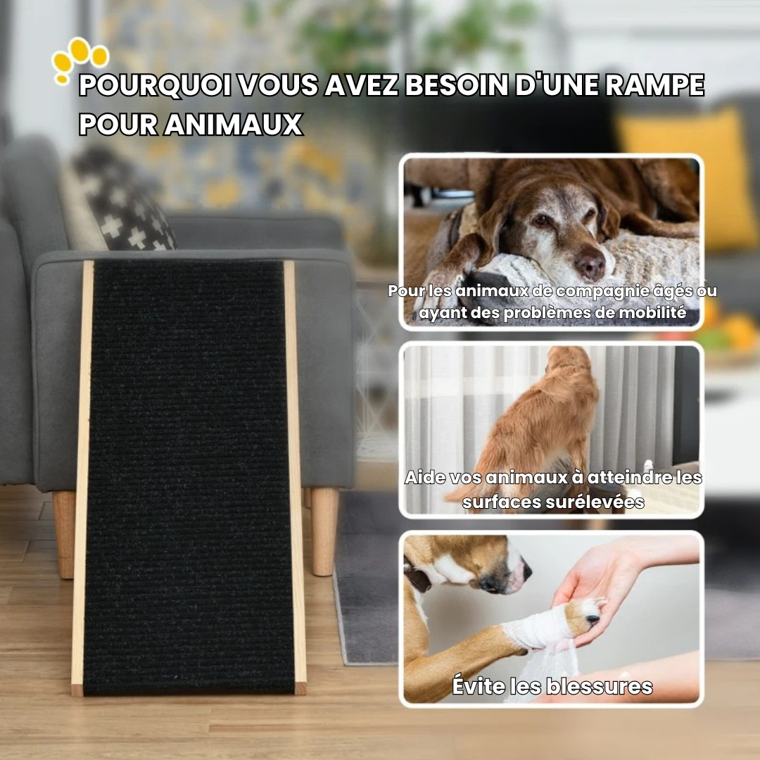 PawLift® - rampe pour chien