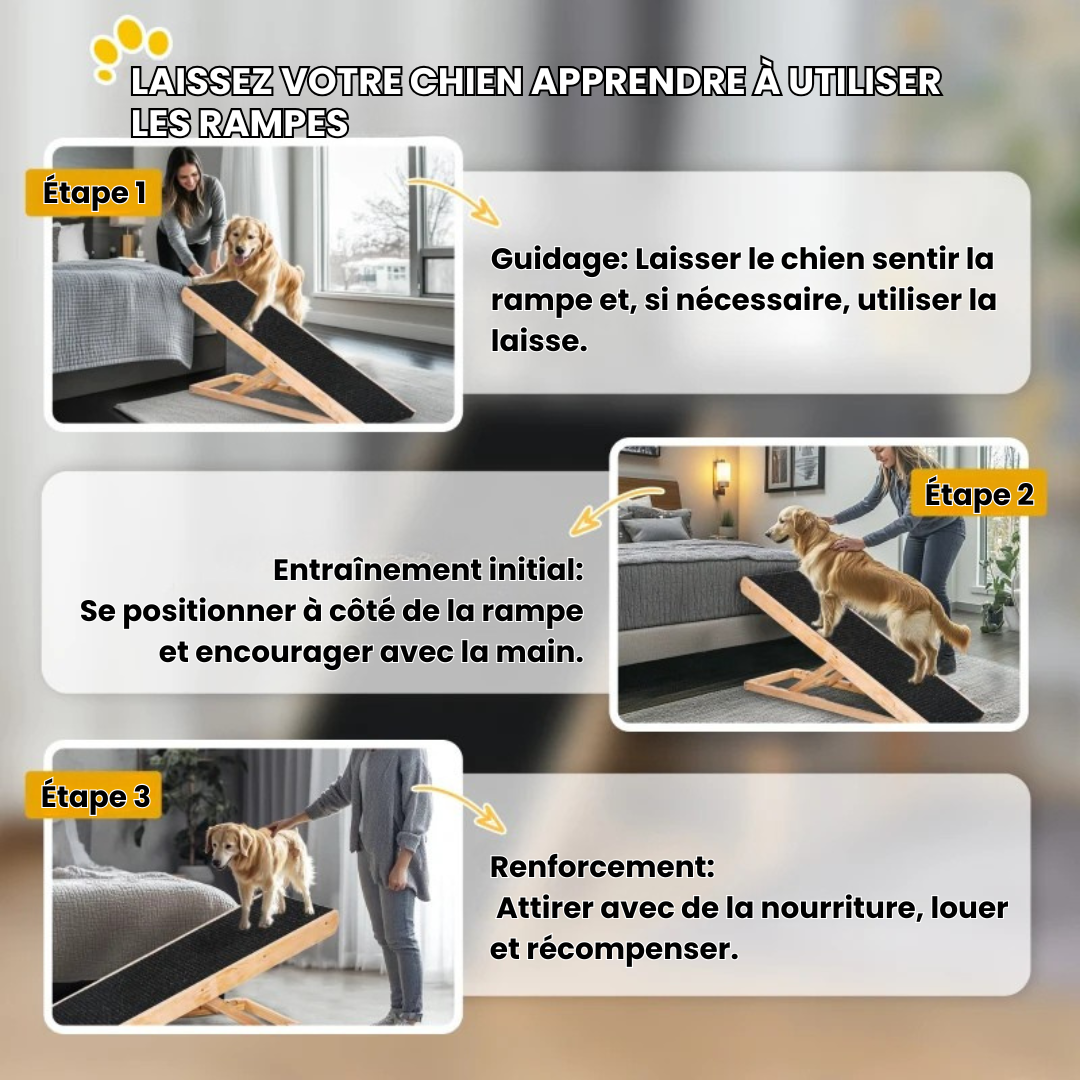 PawLift® - rampe pour chien